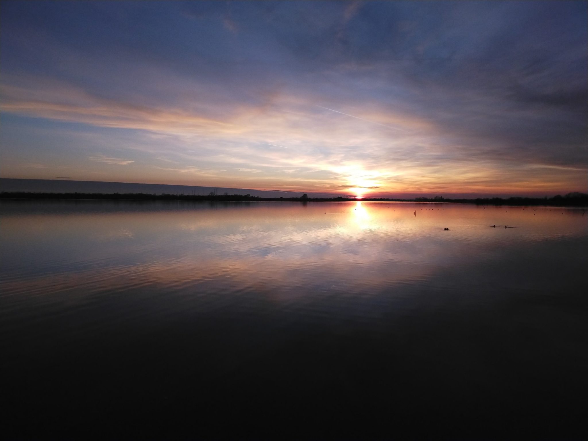 Let’s see the Flamingos in Val Cavanata – Grado – Friuliamo.it